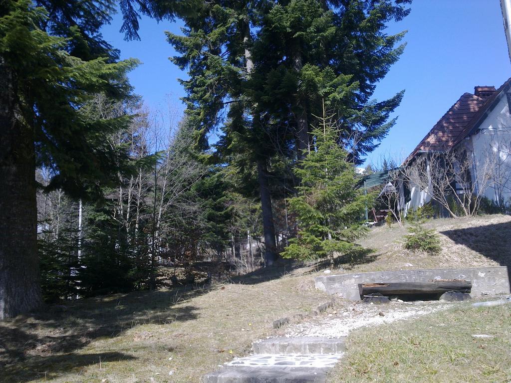 Vila Casa Gabriela Sinaia Pokoj fotografie