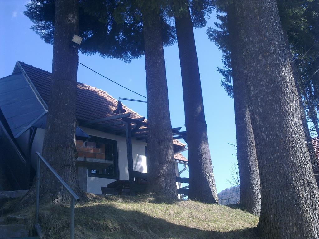 Vila Casa Gabriela Sinaia Pokoj fotografie
